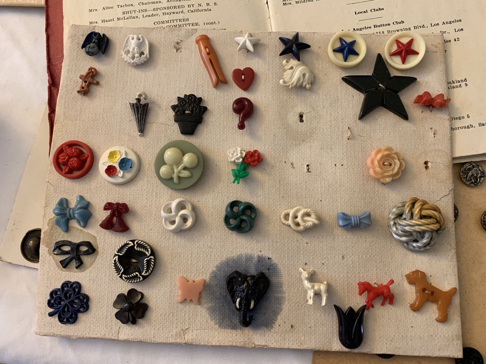 A prized button collection
